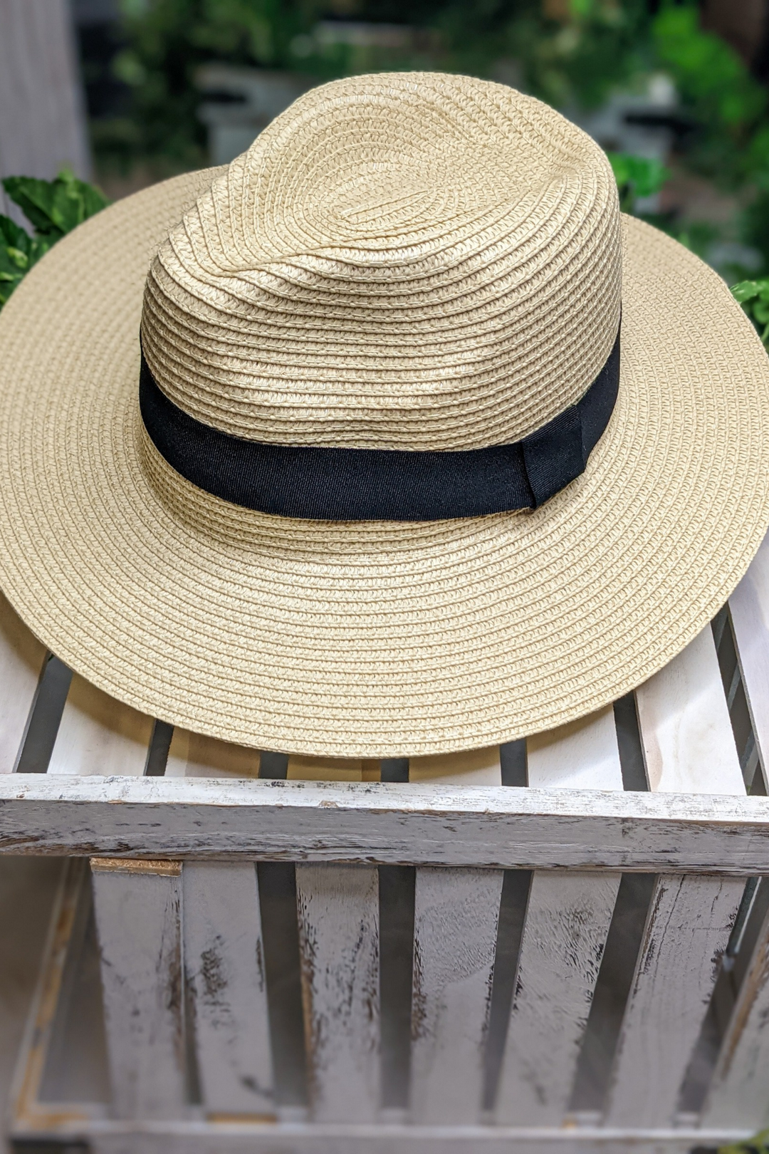 Next Time Around Panama Hat