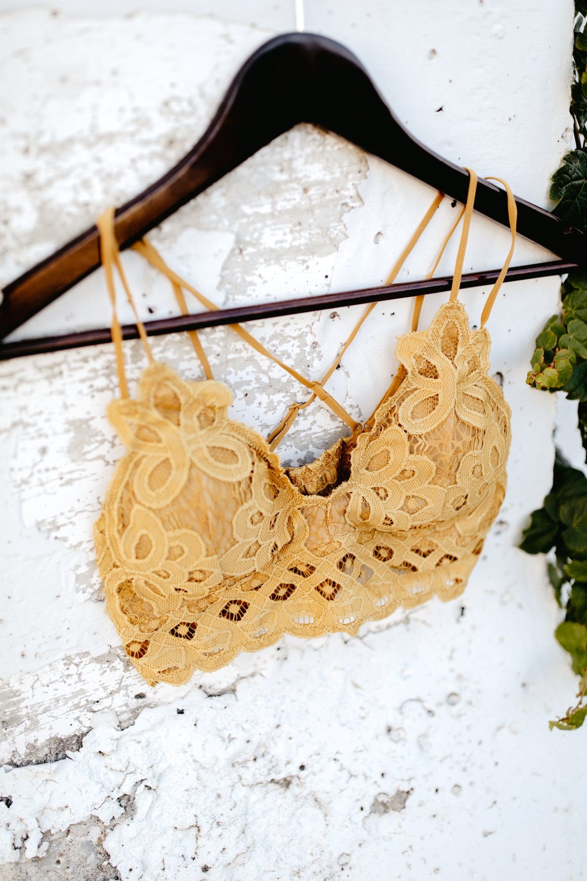 Lace Bralette - Mustard – Simply Posh Boutique